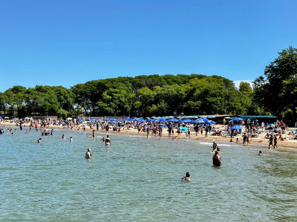 People swim in the water and sit on the sandy beach at Ohio Street Beach in Chicago. Blue umbrellas shield some sunbathers and there are green trees behind them.