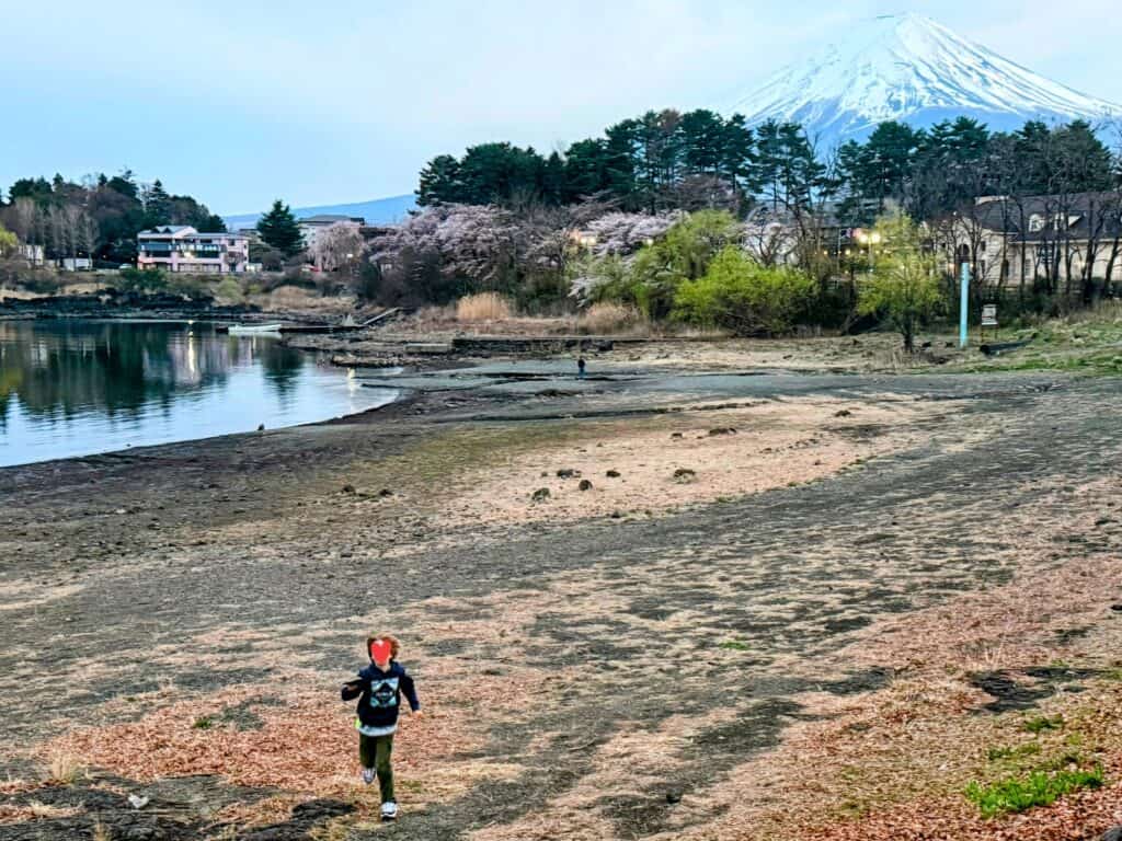 Boy running on the shore of Lake Kawaguchi in Japan. Mt. Fuji in background, along with trees and a few buildings.